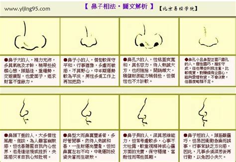 鼻尖面相